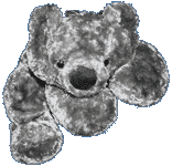 L'ours blanc